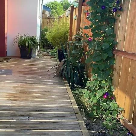 Villa L'Espourguit Proche De L'Ocean Et De La Foret Mimizan Exterior foto